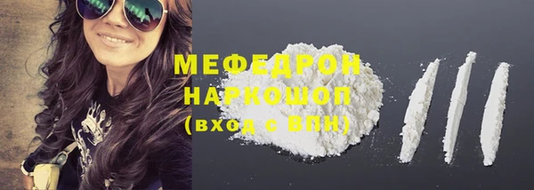 индика Дмитриев