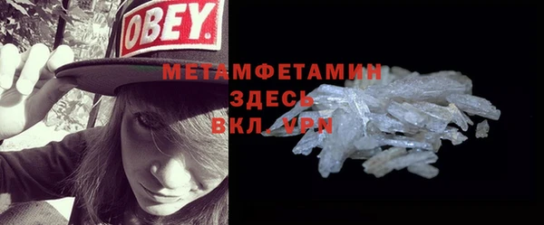 индика Дмитриев