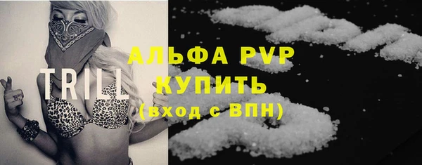 индика Дмитриев