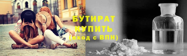 индика Дмитриев