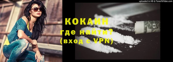 индика Дмитриев
