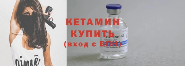 индика Дмитриев