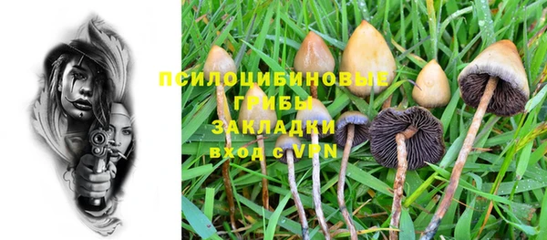 индика Дмитриев