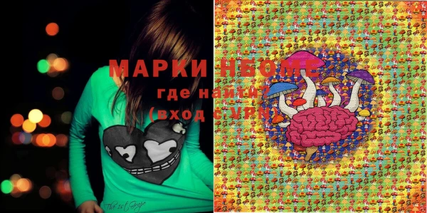 индика Дмитриев