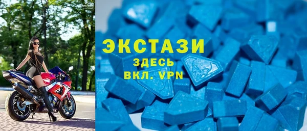 индика Мегион
