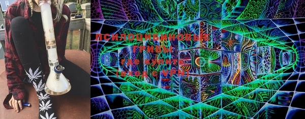 индика Дмитриев