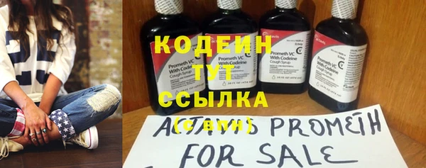 индика Дмитриев